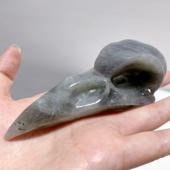 Labradorite Crow Skull Carving Wholesale