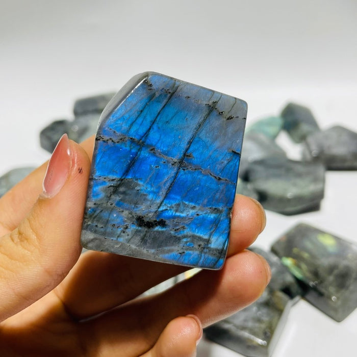 Labradorite Free Form Wholesale
