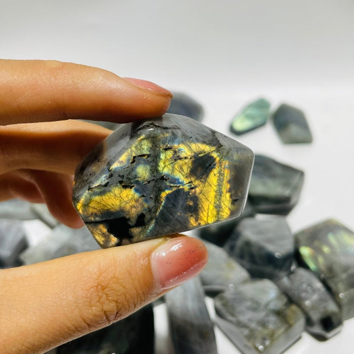 Labradorite Free Form Wholesale