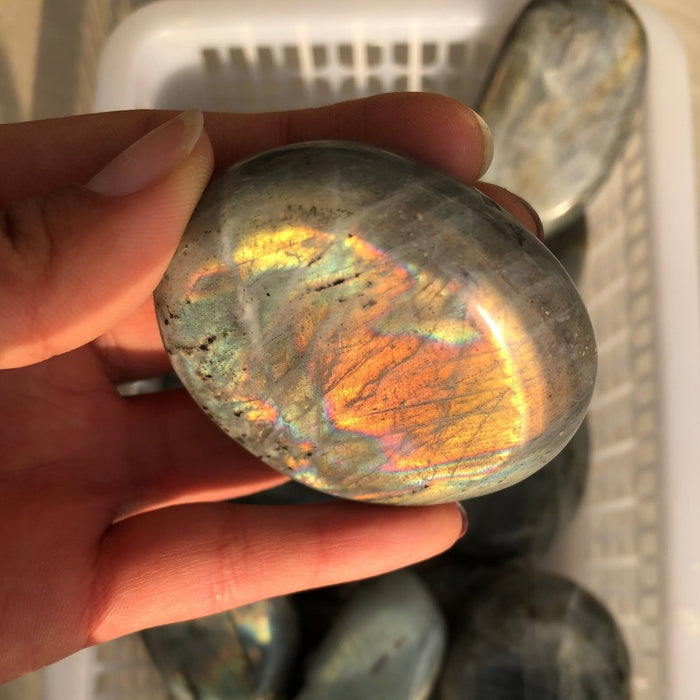 Labradorite Large Palm Wholesale