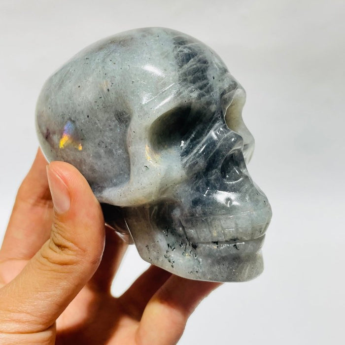 Large Labradorite Skull Carving Wholesale