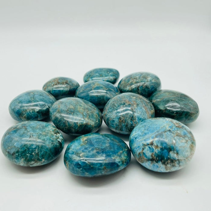 Apatite Palm Wholesale