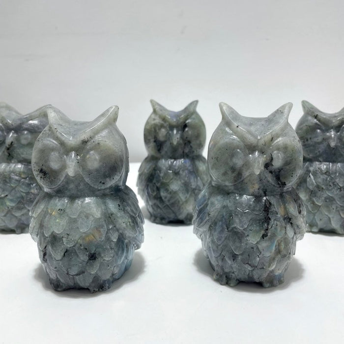 Large Labradorite Owl Carving Wholesale