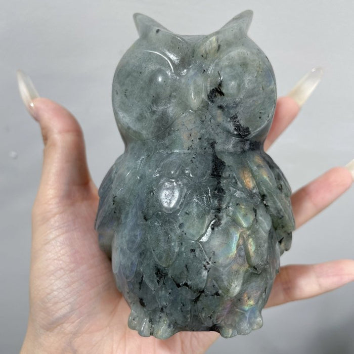 Large Labradorite Owl Carving Wholesale