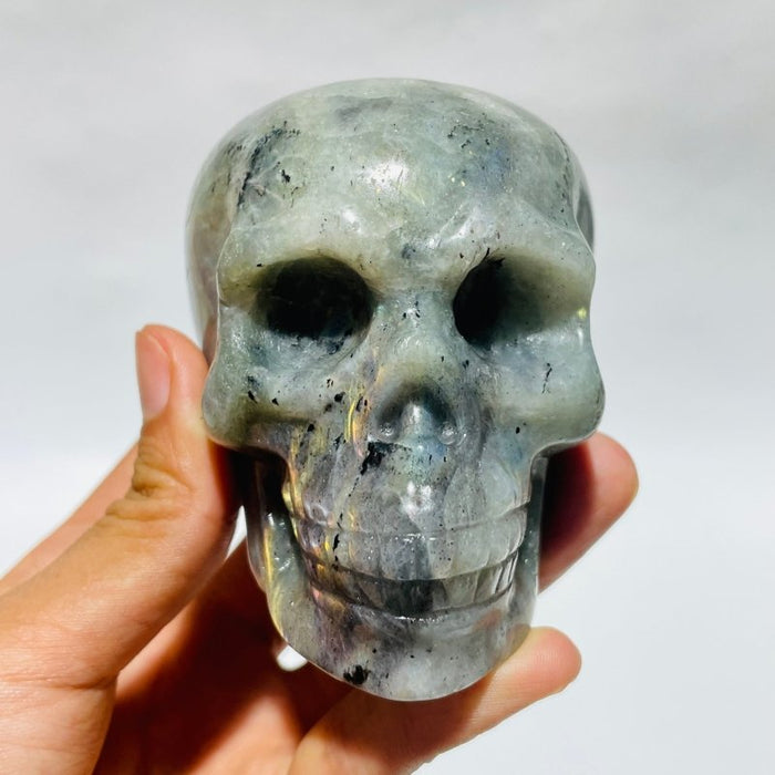 Large Labradorite Skull Carving Wholesale