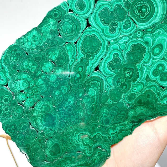 Large Polished Malachite Raw Slab Butterfly Wing With Stand (#2)