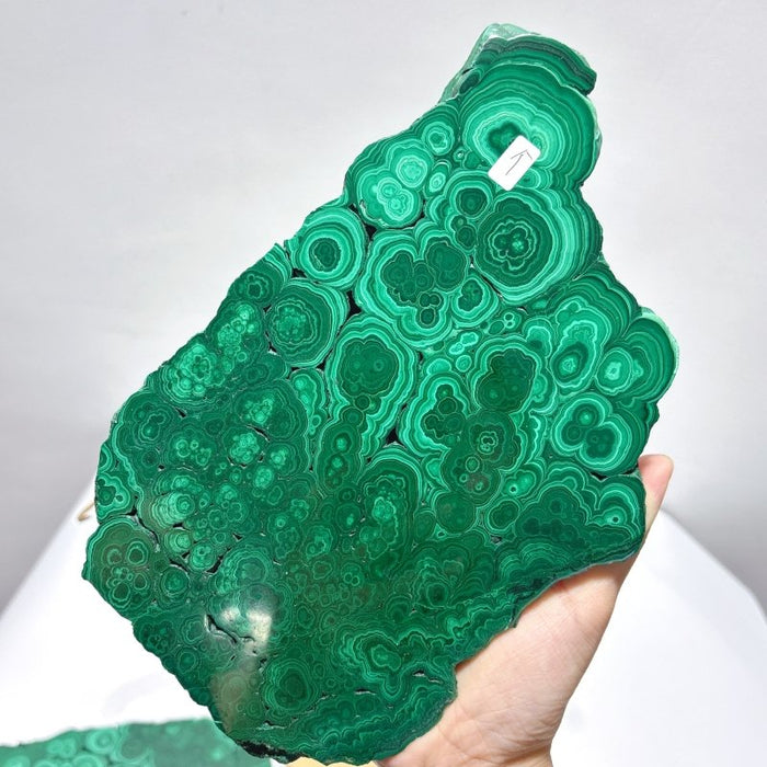 Large Polished Malachite Raw Slab Butterfly Wing With Stand (#2)
