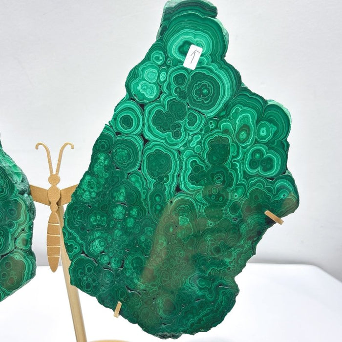 Large Polished Malachite Raw Slab Butterfly Wing With Stand (#2)