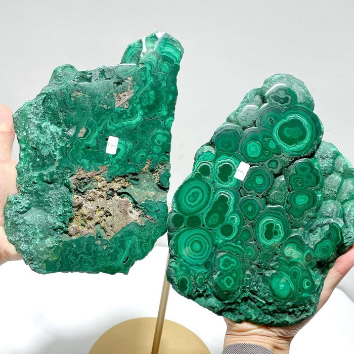 Large Polished Malachite Raw Slab Butterfly Wing With Stand (#2)