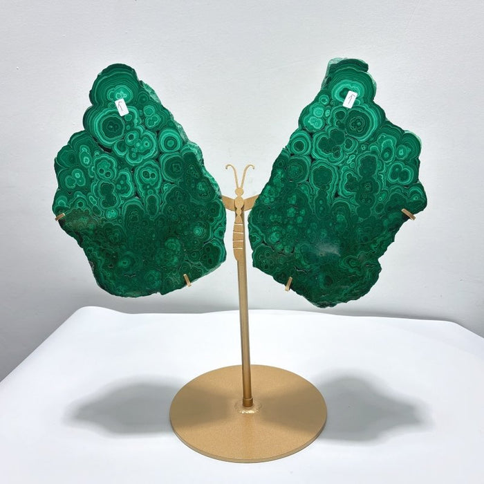 Large Polished Malachite Raw Slab Butterfly Wing With Stand (#2)