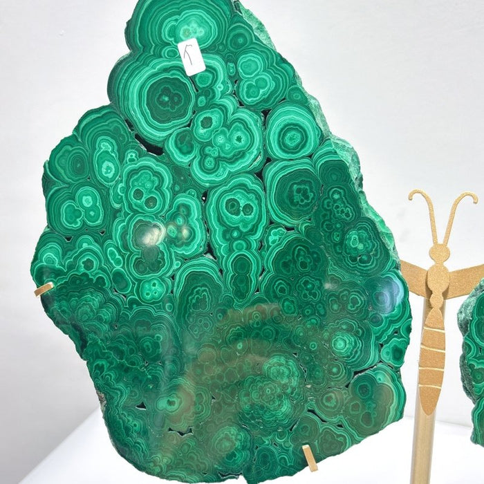 Large Polished Malachite Raw Slab Butterfly Wing With Stand (#2)