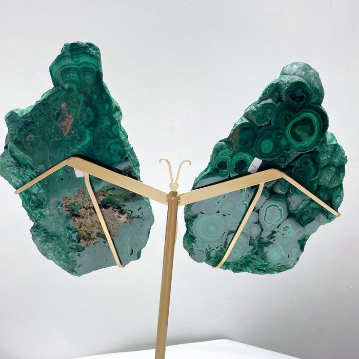 Large Polished Malachite Raw Slab Butterfly Wing With Stand (#2)