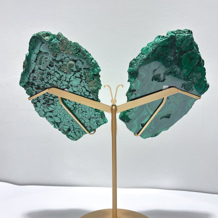 Large Polished Malachite Raw Slab Butterfly Wing With Stand (#4)