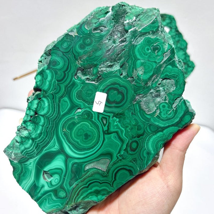 Large Polished Malachite Raw Slab Butterfly Wing With Stand (#4)