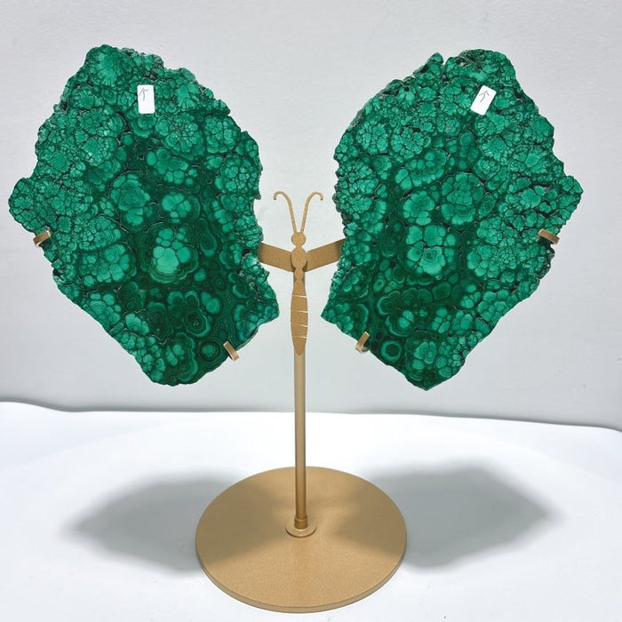 Large Polished Malachite Raw Slab Butterfly Wing With Stand (#4)
