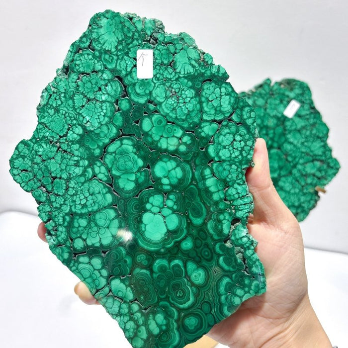 Large Polished Malachite Raw Slab Butterfly Wing With Stand (#4)