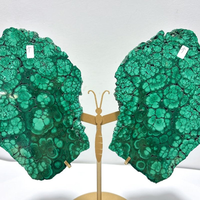 Large Polished Malachite Raw Slab Butterfly Wing With Stand (#4)