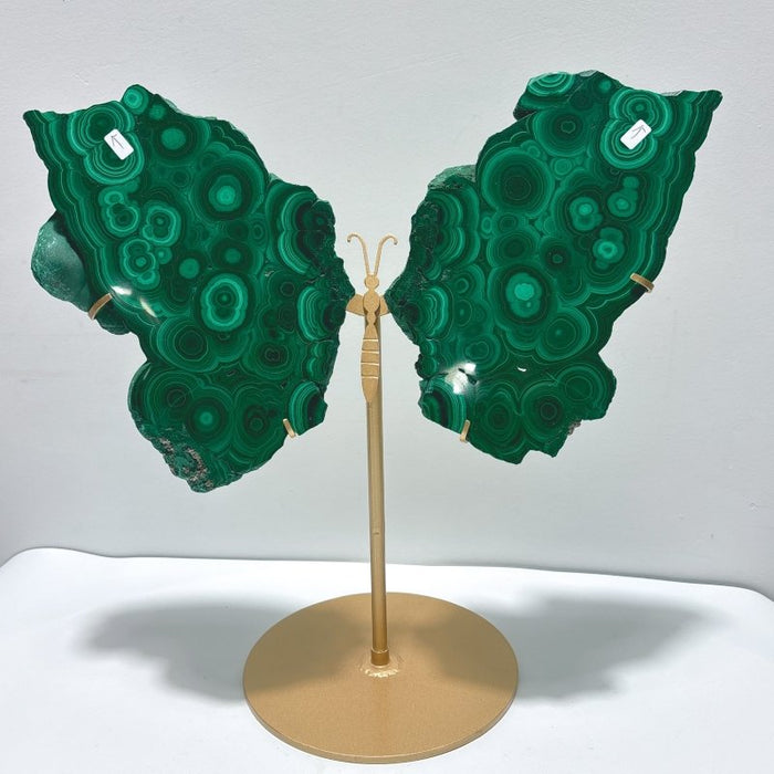 Large Polished Malachite Raw Slab Butterfly Wing With Stand(#8)