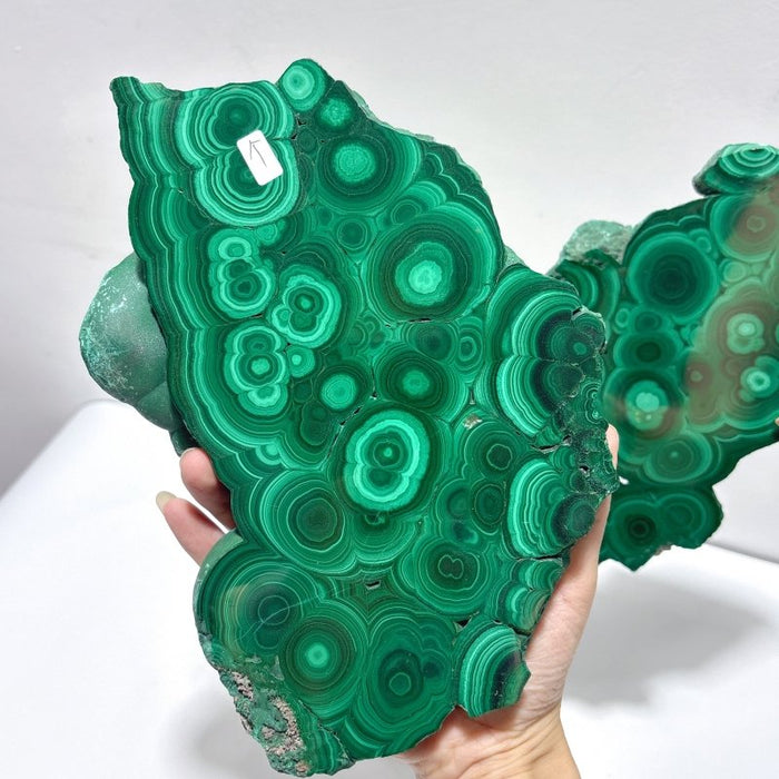 Large Polished Malachite Raw Slab Butterfly Wing With Stand(#8)