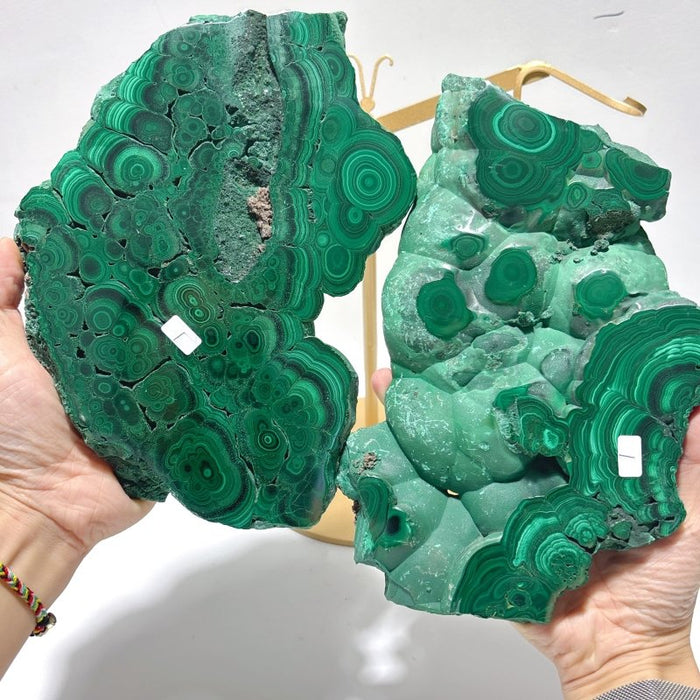 Large Polished Malachite Raw Slab Butterfly Wing With Stand(#8)
