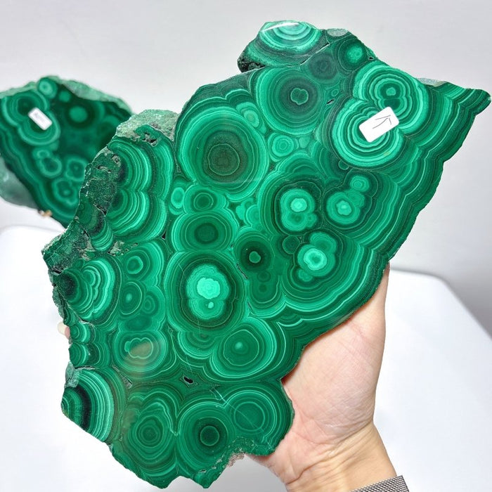 Large Polished Malachite Raw Slab Butterfly Wing With Stand(#8)