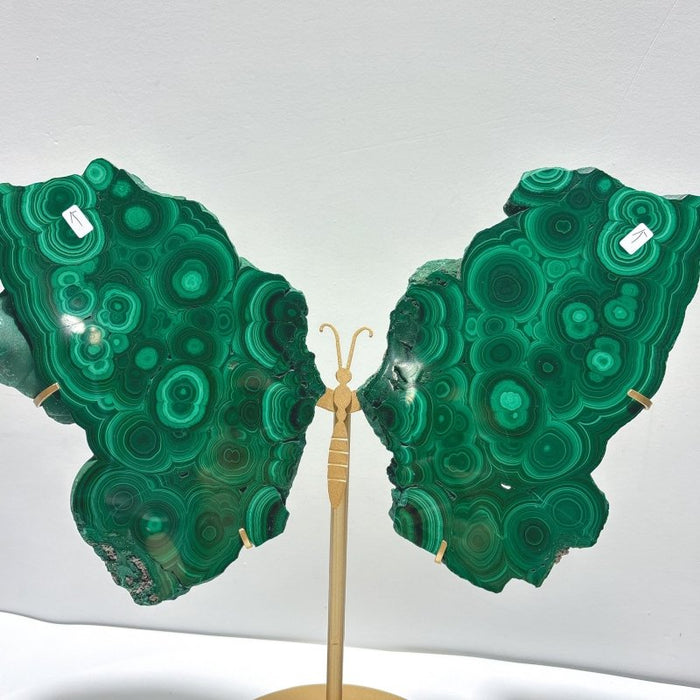 Large Polished Malachite Raw Slab Butterfly Wing With Stand(#8)