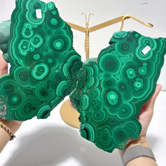 Large Polished Malachite Raw Slab Butterfly Wing With Stand(#8)