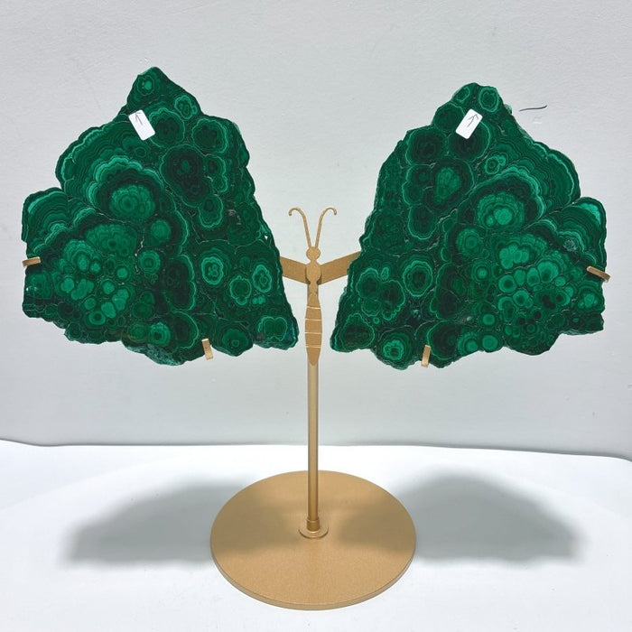 Polished Malachite Raw Slab Butterfly Wing With Stand (#9)