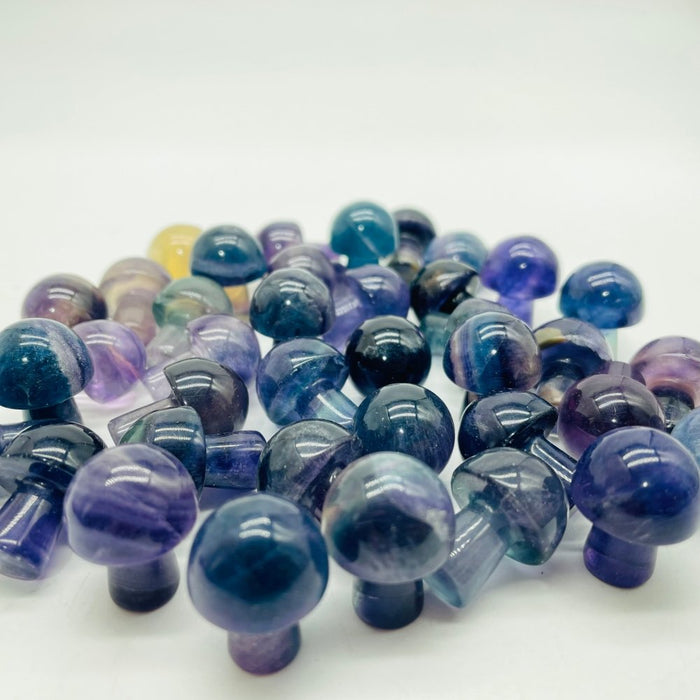 Beautiful Colorful Fluorite Mushroom Wholesale