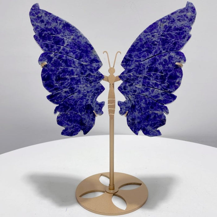 Unique Blue Sodalite Butterfly Wing Carving With Stand