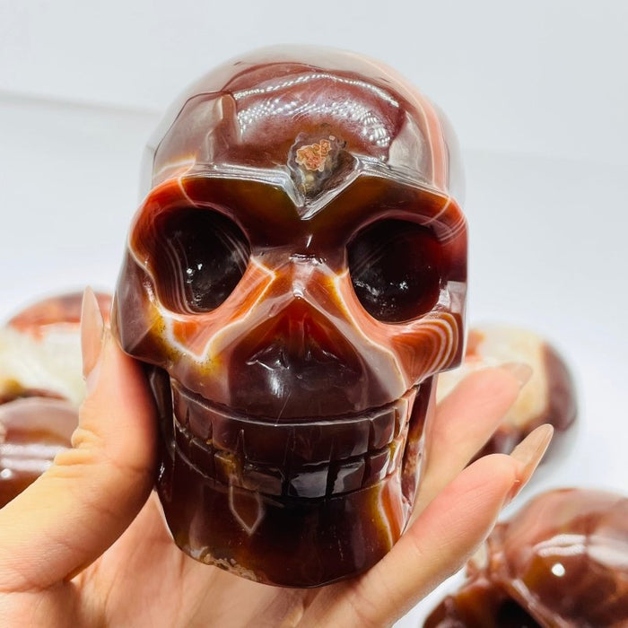 10 Pieces Carnelian Large Skull Carving