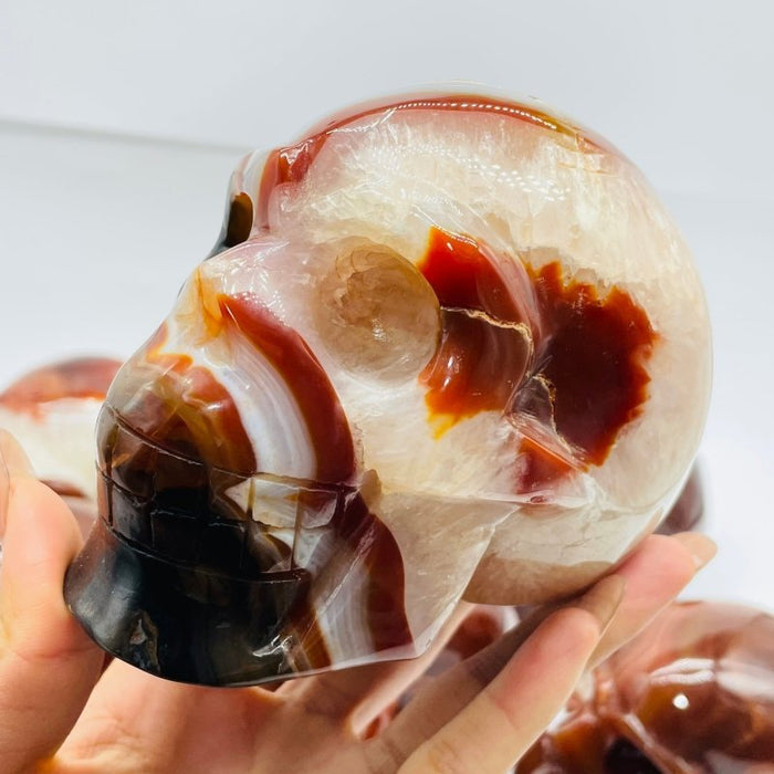 10 Pieces Carnelian Large Skull Carving