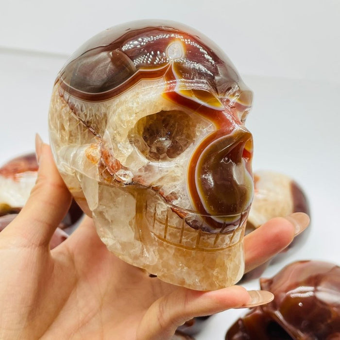 10 Pieces Carnelian Large Skull Carving