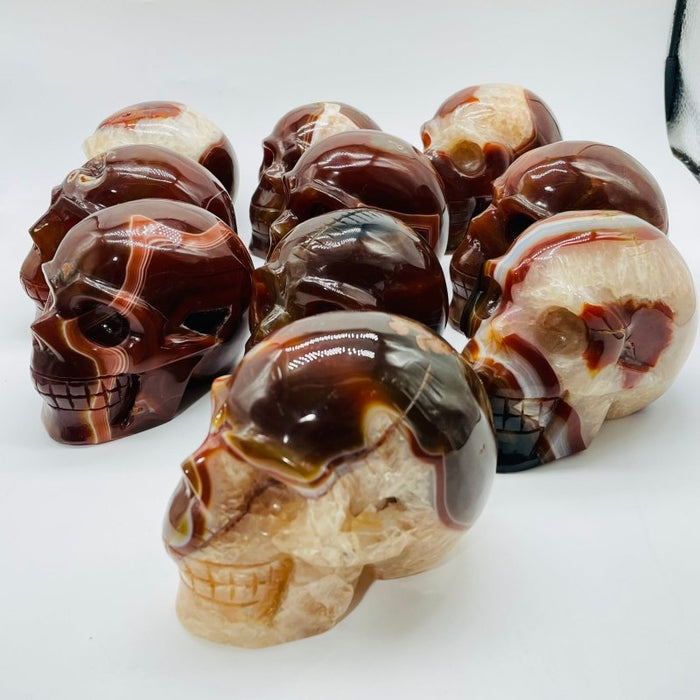 10 Pieces Carnelian Large Skull Carving