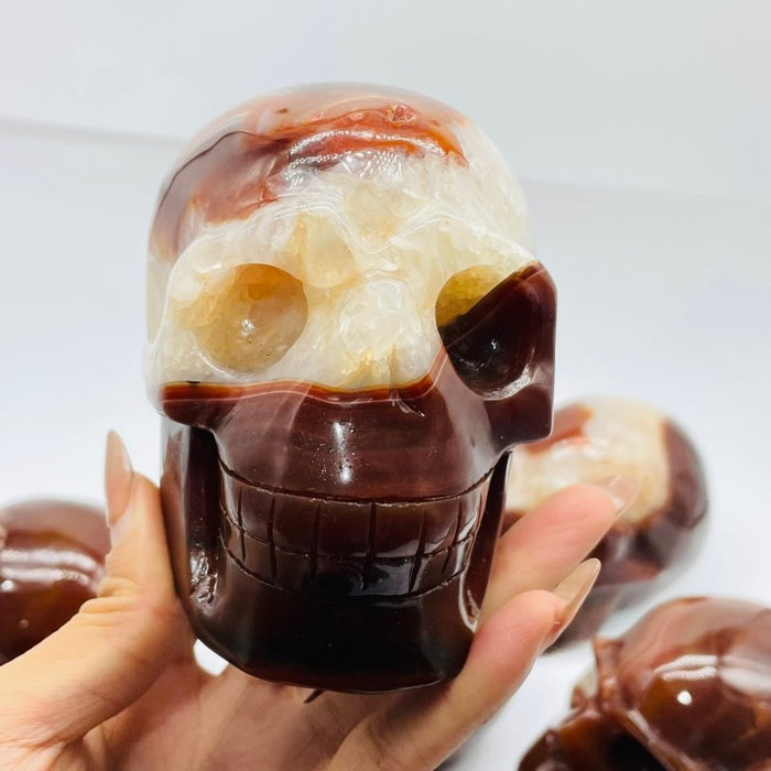 10 Pieces Carnelian Large Skull Carving