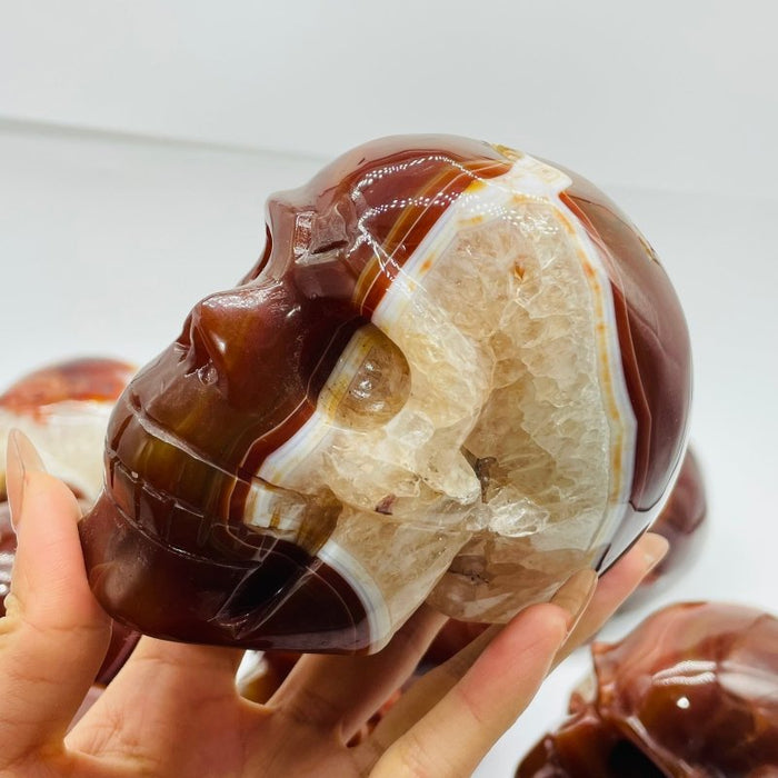 10 Pieces Carnelian Large Skull Carving