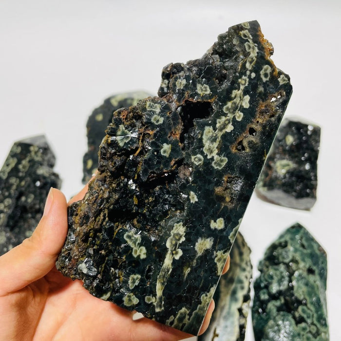 8 Pieces Green Sea Jasper Druzy Points