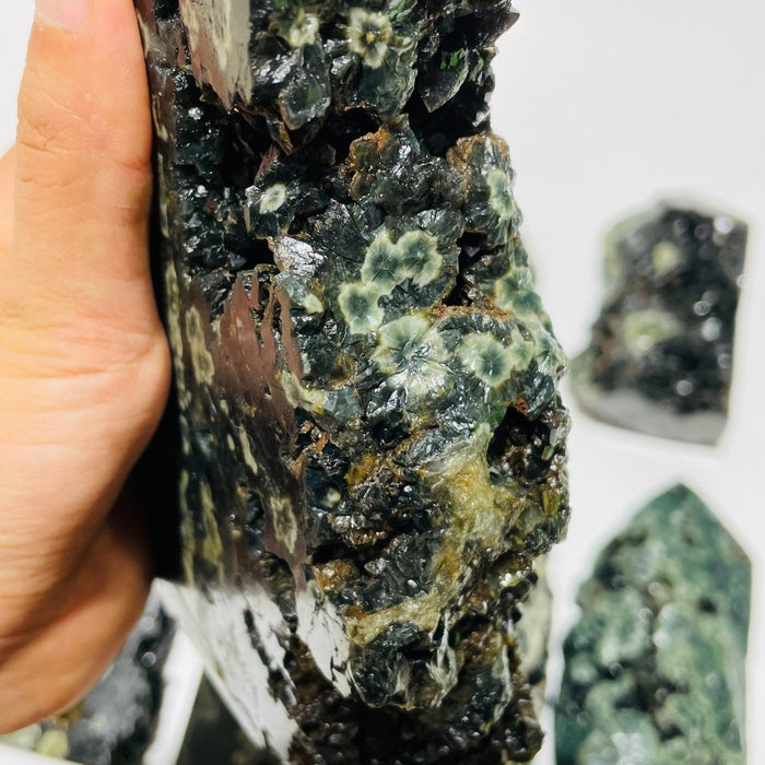 8 Pieces Green Sea Jasper Druzy Points