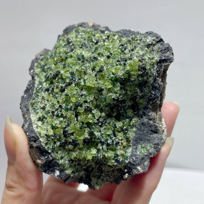 10 Pieces Peridot Raw Stone Specimen