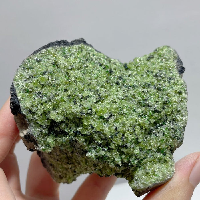 10 Pieces Peridot Raw Stone Specimen