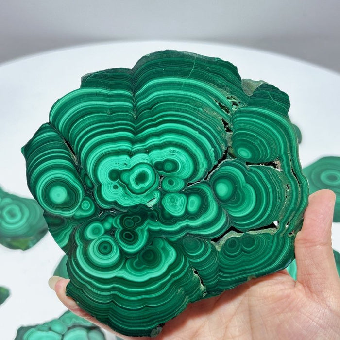 10 Pieces Polished Malachite Slab
