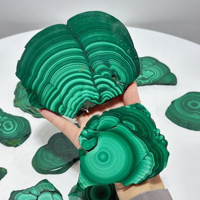 10 Pieces Polished Malachite Slab