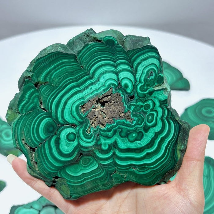 10 Pieces Polished Malachite Slab