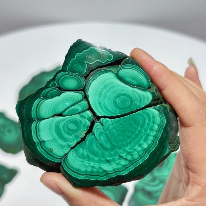 10 Pieces Polished Malachite Slab
