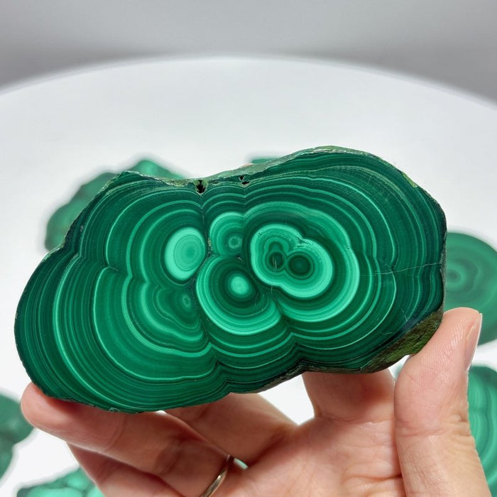 10 Pieces Polished Malachite Slab