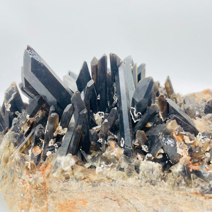 Deep Color Large Smoky Quartz Cluster