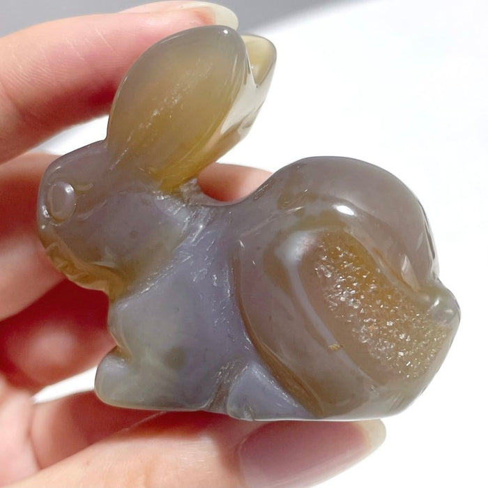 11 Pieces Agate Rabbit Carving