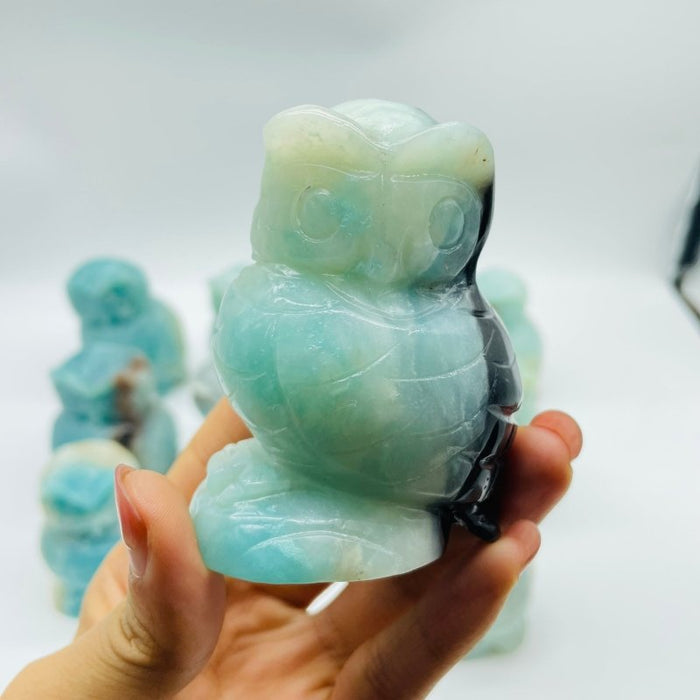 11 Pieces Caribbean Calcite Owl Carving