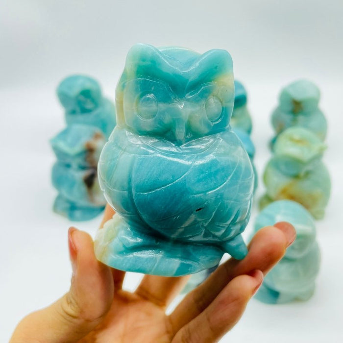 11 Pieces Caribbean Calcite Owl Carving