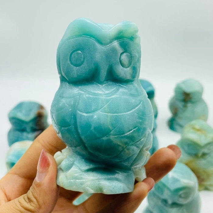 11 Pieces Caribbean Calcite Owl Carving